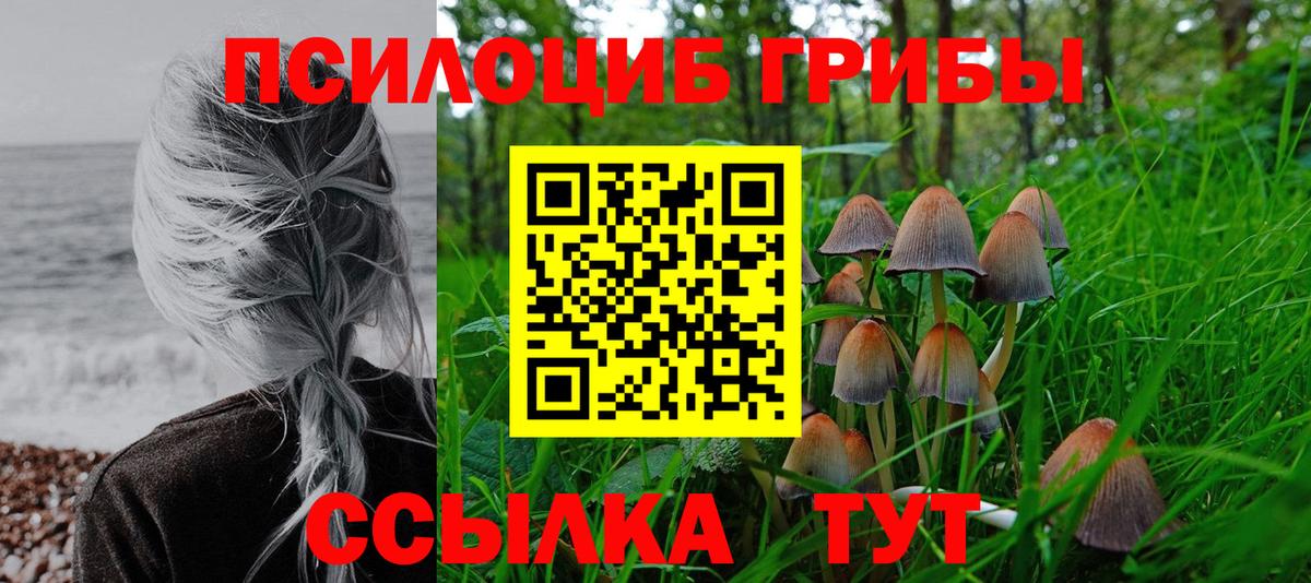 Псилоцибиновые грибы GOLDEN TEACHER  купить наркоту  Галлюциногенные грибы Magic Shrooms  Пугачёв  Вход с VPN 