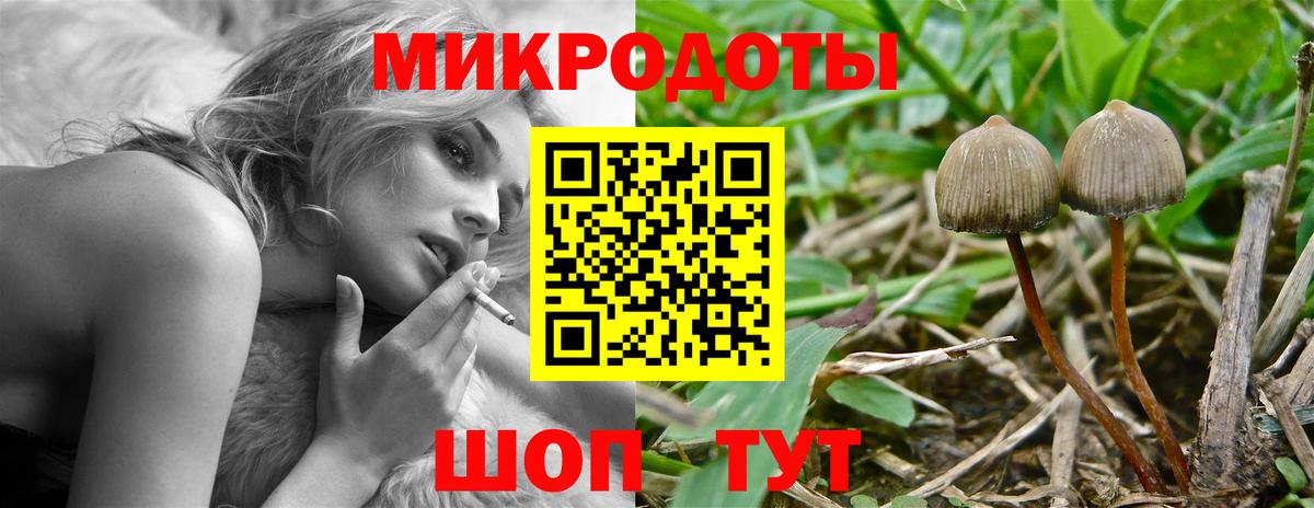 Псилоцибиновые грибы Cubensis Пугачёв